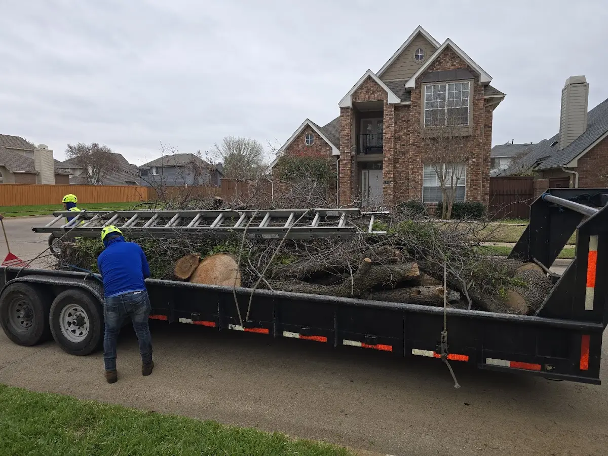 Expert Tree Fertilization with proper safety equipment in Osage